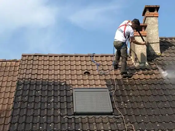 demoussage toiture 78 yvelines